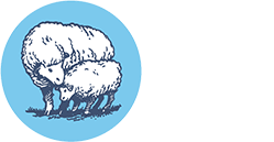 Natural Massage Table Fleece - Holy Lamb Organics